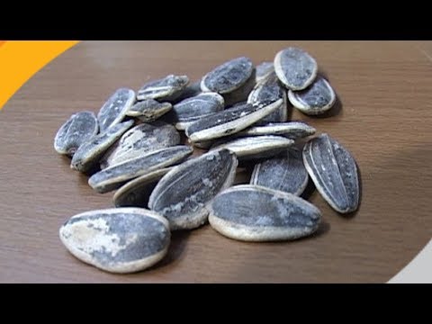 هل تعلم ماهي منافع لب عباد الشمس ومتى يصبح ضارا