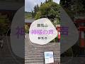 【神様の声】あなたは聞こえますか？鞍馬山・鞍馬寺#shorts #パワースポット #鞍馬寺 #スピリチュアル