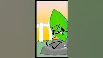 who ass shut up? no btilches bfdi?!