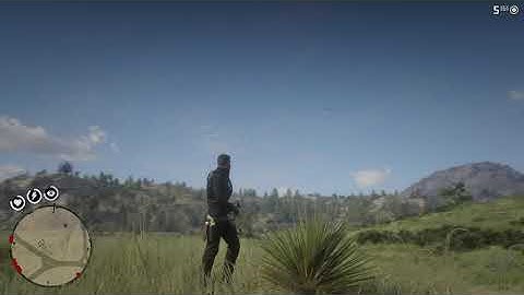 Sharpshooter 10 challenge [Easiest & Fastest way] RDR2