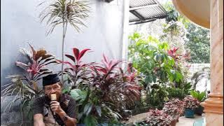 UJI KESAKTIAN ANTARA ORANG KAYO HITAM  DG TEMENGGUNG MERAH  MATO