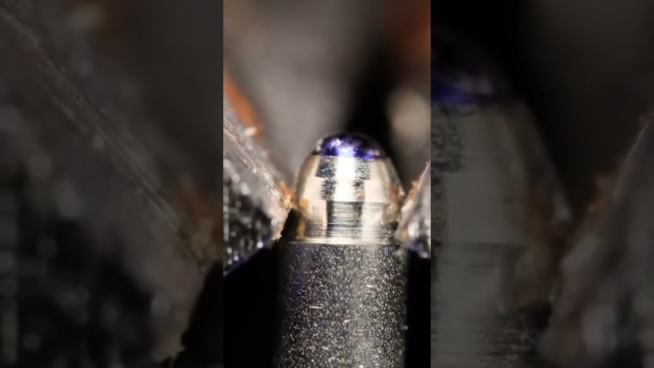Biting Off A Pen Closeup Macro Amazing R