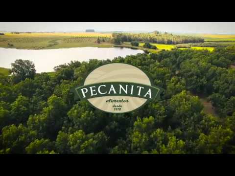 Pecanita