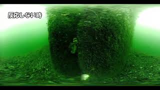 情報 各話出現的魚種及釣具科普 放學後堤防日誌哈啦板 巴哈姆特