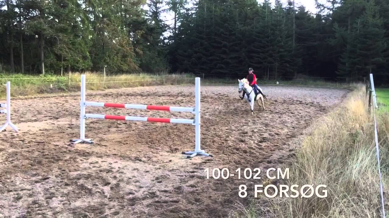 Højdespring | ny rekord