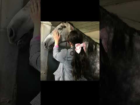 صور بنات مع الخيل اكسبلور الخيل لايك