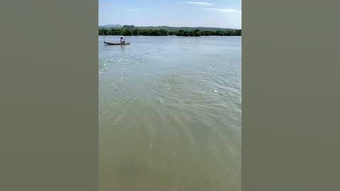 Câu cá Vược - Chẽm 6kg mồi tôm sống