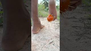 Survival Skills Smart Idea And Useful With Single Mom