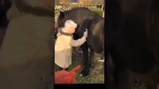 Séance de médiation avec nos chevaux.