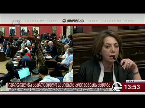 კომიტეტის სხდომაზე მელიას საქმეში არსებულ მოწმეების ვინაობაზე მსჯელობენ