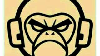 Intro the mad monkey