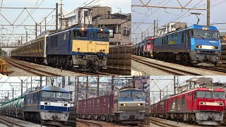 武蔵野線貨物列車 EF64 209系廃回ほか  桃太郎・ブルサン・金太郎 多彩な列車たち 2021年4月