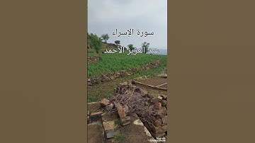 وقالوا لن نؤمن لك حتى تفجر لنا #سورة الإسراء