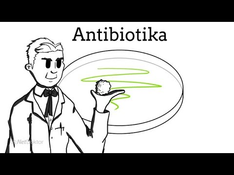 Antibiotikaklassen -- Antibiotika Teil 1 -- AMBOSS Auditor