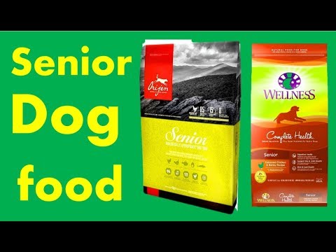 senior-dog-food-|-best-senior-dog-food-||