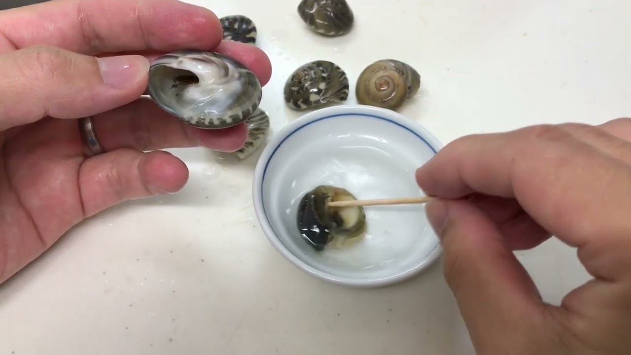 How to eat Nagami snails: Want to easily and cleanly remove the