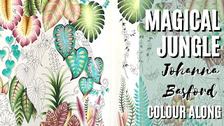 Colour Along | Magical Jungle by Johanna Basford | Part 2