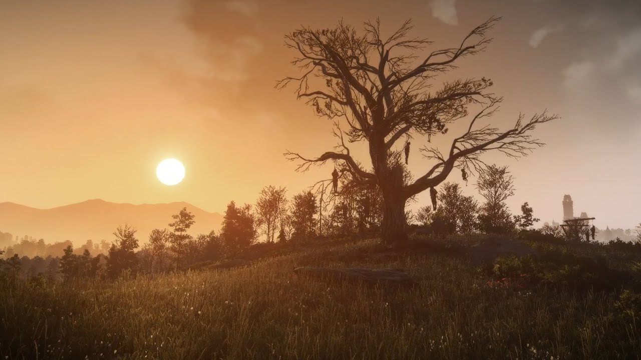 The Witcher 3 - Reforged