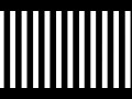 06 Thin Right To Left Stripes 1 Optokinetic OKN Visual Vertigo Mal De Debarquement 06 Thin Right To Left Stripes 1 Optokinetic OKN Visual Vertigo Mal De Debarquement