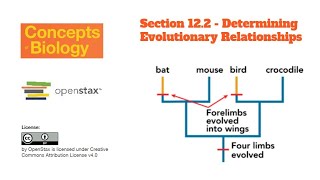 Short Form Lecture for Section 12.2 Determining Evolutionary Relationships - Concepts of Biology