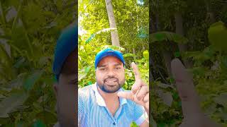 रियल ना ह पगली #tranding #song #hindiganabhojpuriganakaiselikhe #yputube