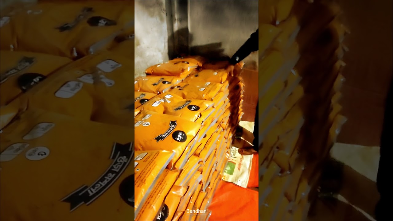 Export Quality Turmeric powder