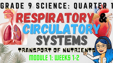 Respiratory and Circulatory Systems | Grade 9 Science Quarter 1 Lesson