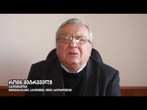 დავით თარხან-მოურავის წარმომავლობის შესახებ - როინ მეტრეველი