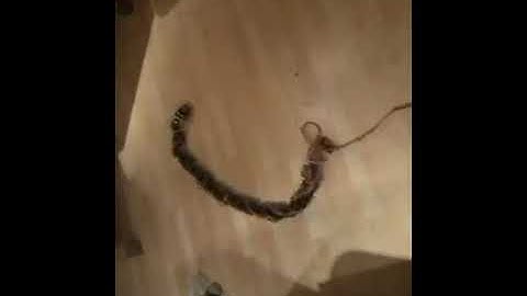 Modular snake robot - rolling