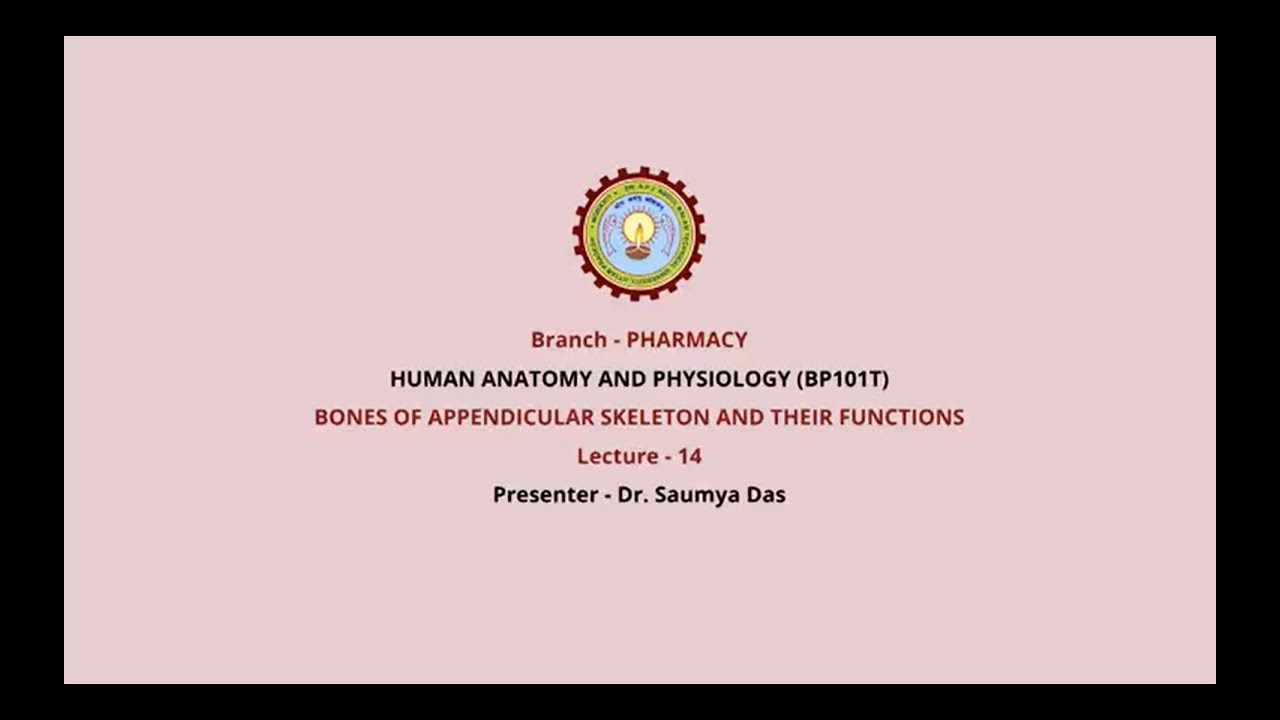 Human Anatomy & Physiology | Bones of Appendicular Skeleton and Their Functions | AKTU Digital