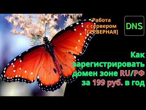 Video: Usporedba Spektroskopskih Uređaja S Frekvencijskom Domenom I Neprekidnog Vala U Blizini Neposredne Tranzicije