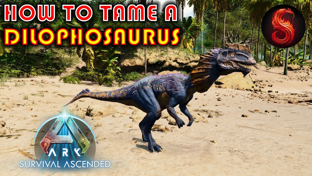ARK SURVIVAL ASCENDED HOW TO TAME A DILOPHOSAUR YouTube