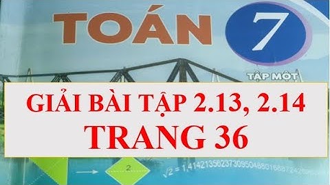 Giải bài tập 2.13, 2.14 trang 36 Toán 7 sách kết nối tri thức với cuộc sống