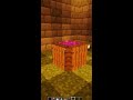 Witch's New Cauldron!! Minecraft 🧙‍♀️ #Minecraft #meme #memes #Shorts