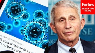 Fauci: Covid Vaccine Booster Shot Offers Strong Protection Against Omicron Variant