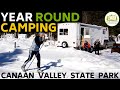Canaan Valley State Park Campground - Bear Patrol!