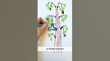 Зачем люди пьют БЕРЕЗОВЫЙ сок? — Научпок #Shorts