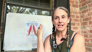 Body Mapping, the Psoas & Generational Trauma | Releasing the Identity Built from Survival
