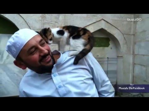Man opens Mosque doors for stray cats, melting hearts worldwide