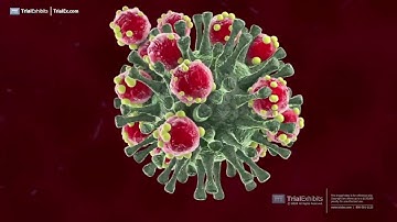 COVID-19 – How Vaccines Work and a Search for the Answer