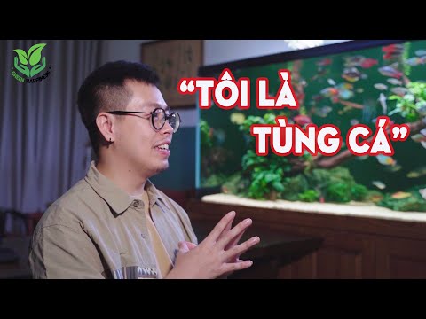 Video: Cá nước mặn