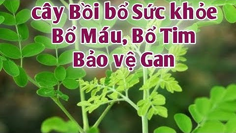 Bài thuốc trị Suy nhược cơ thể, ngăn ngừa sỏithận, bình ổn huyết áp... PHAN HẢI channel