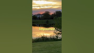 The Pygmalion Effect #story #life #stories #people #psychology #shorts #short