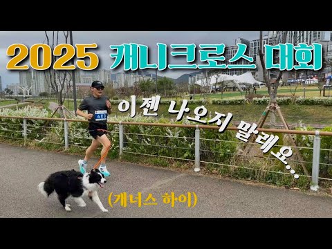 [제17회 한국캐니크로스대회] 이제 대회 나오지 말래요ㅠㅠ  (feat. 이벤트 사전 공지)