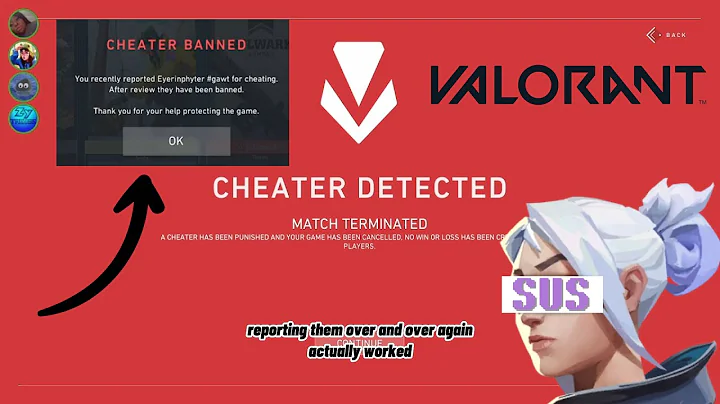 Getting a Valorant Cheater Banned 🤫