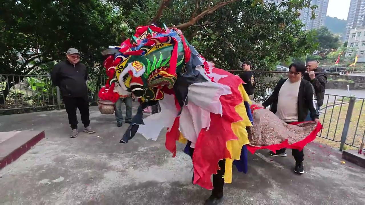 2025 乙巳年正月初二 大藍寮村舞麒麟