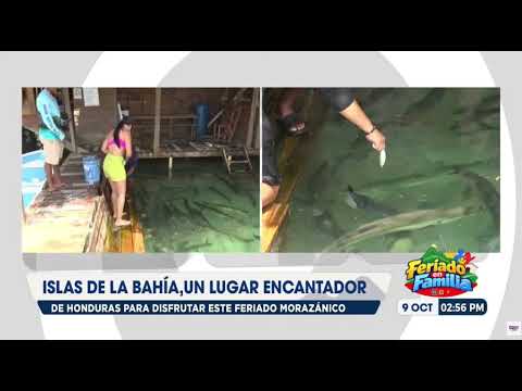 Islas de la Bahía, un lugar encantador de Honduras para disfrutar este Feriado