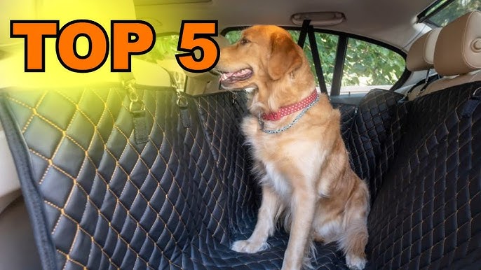 Les 5 meilleures housse de protection de voiture pour chien 