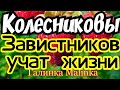 Колесниковы /Обзор новых ВЛОГОВ /Завистников учат Жизни //