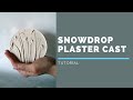 Snowdrop plaster cast // Botanical bas relief tutorial